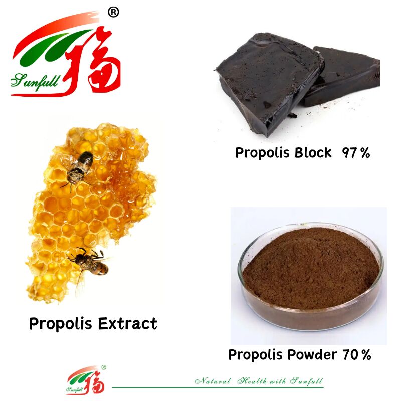 Voedingssupplementen/Pharmaceutisch Rijk aan flavonoïden 10%-20% Wateroplosbaar propolisblok 97% / Propolispoeder 70% Propolis-extract