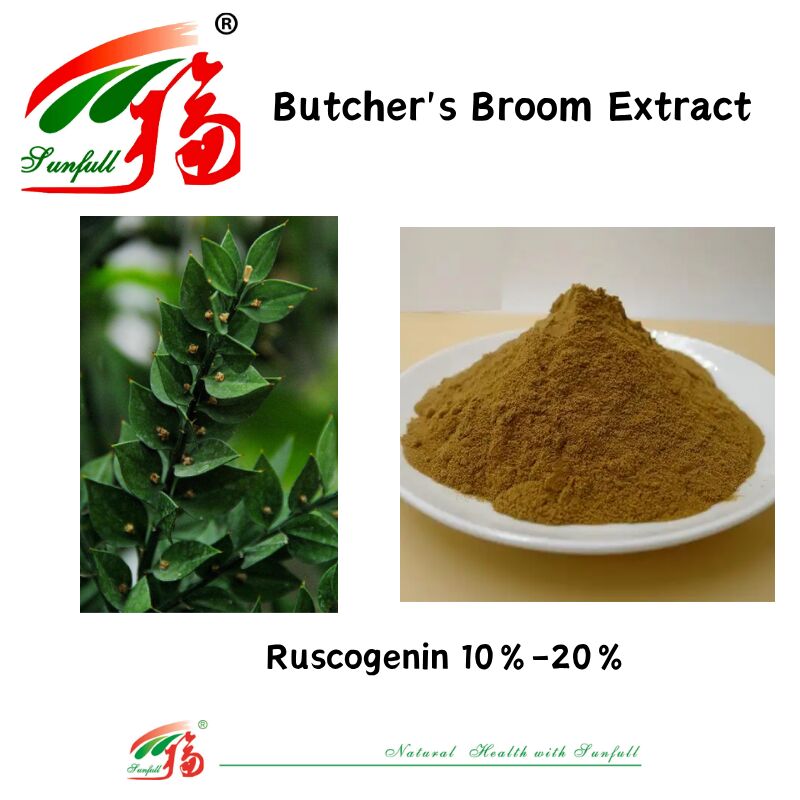 Hoogwaardige fabrieksprijs Ruscus Aculeatus wortel extract 10%-20% Ruscogenin Slager bezem extract