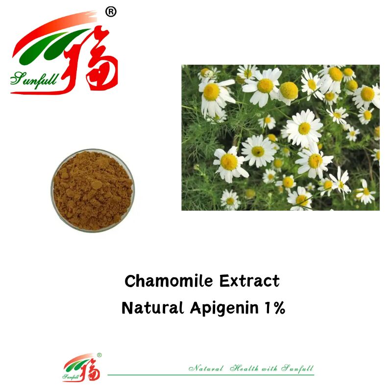 100% natuurlijk selderijzaad extract 98% apigenine poeder CAS 520-36-5