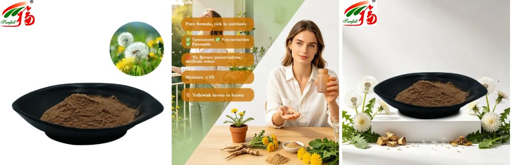 Voedingsmiddelenkwaliteit Paardebloem Kruid Paardebloemblaad Extract Poeder Natuurlijke flavonoïden 5%-10% Biologisch Paardebloem Extract