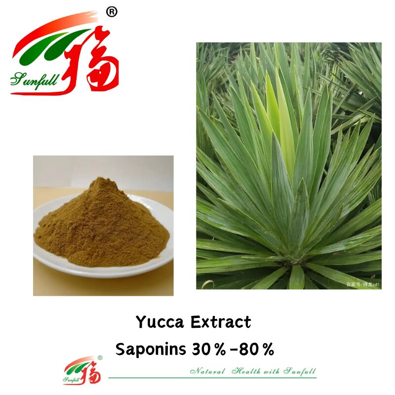 ISO/Kosher Deodorant bevorderen darmgezondheid Huisdiervoedsel Ingrediënt 10%-80% Saponinen Yucca-extract