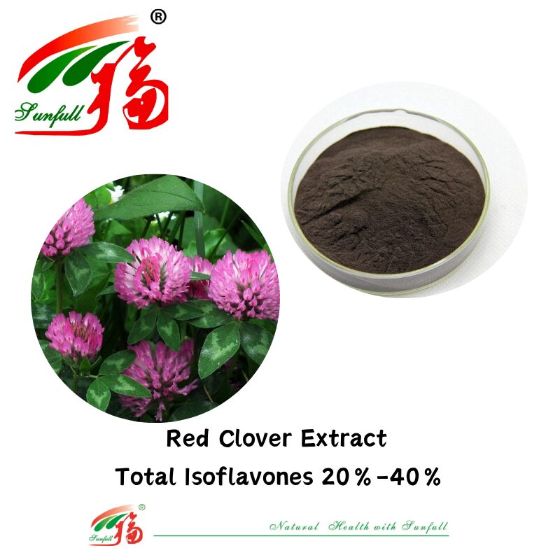 Hunan Sunfull voor hormonale balans en verlichting Puur natuurlijke gezondheids supplementen Organische totale isoflavonen 20%-40% extract van rode klaver