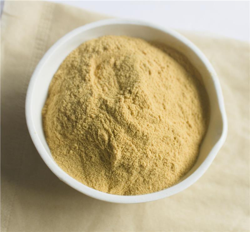 Fabriekslevering Hemostase Voedingssupplementen 10% 40% 80% Notoginsenosiden Panax Notoginseng Wortelextract