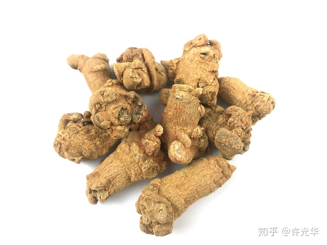 Fabriekslevering Hemostase Voedingssupplementen 10% 40% 80% Notoginsenosiden Panax Notoginseng Wortelextract
