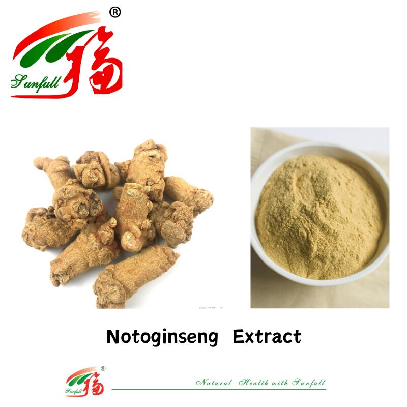 Fabriekslevering Hemostase Voedingssupplementen 10% 40% 80% Notoginsenosiden Panax Notoginseng Wortelextract