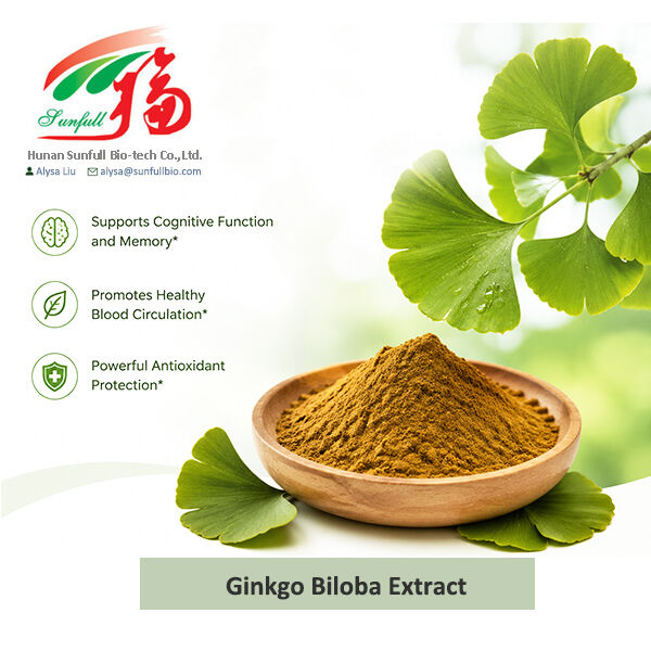 Natuurlijk Ginkgo Biloba Extract Cp/ USP/ Ep/ Wateroplosbaar Type voor supplementen pharma