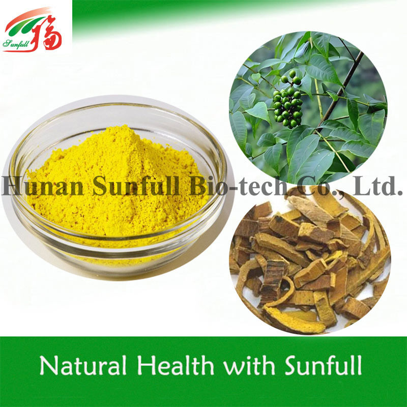 Antibacterieel Extract Berberine HCl Geel Kristalpoeder van Berberis-soorten (Zuurpruim) met CAS-nr. 633-65-8