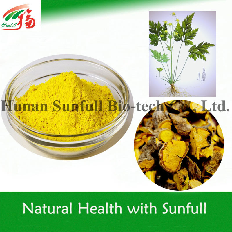 100% natuurlijke berberine hcl 97% 98% uit Coptis chinensis wortel met CAS-nummer 633-65-8