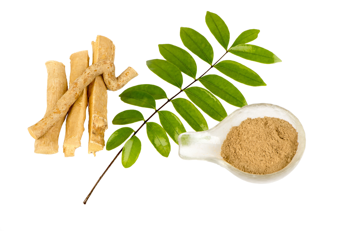 0,5% Eurycomanone-Anti Koortsige Activiteit van UittrekselEurycoma longifolia Root Extract Powder For