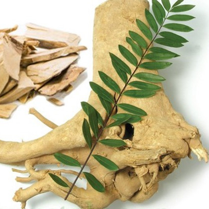 Anti Virale Eurycoma longifolia Supplement 2,5% Eurycomanone Eurycoma longifolia For Fatigue Recovery