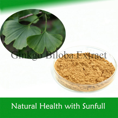 100% natuurlijk Ginkgo Biloba extract voor een lagere bloeddruk