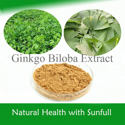 Ginkgo Biloba P.E. 24% totale flavonen 6% terpeenlactonen 5 ppm voor de gezondheid van het hart