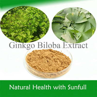 Natuurlijke Ginkgo Biloba Extract 24% Ginkgoflavoglycosiden 6% Terpeenlactonen