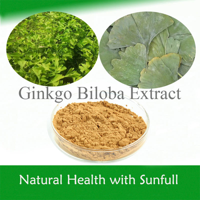 Het Bladextract 24/6 CAS 90045-36-6 Cp USP561 Ep EC396 van Ginkgo Biloba