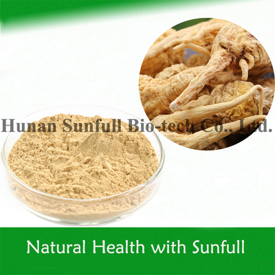 Mens Plantgezondheid Voedsel Maca-extract voor voeding (Lepidium meyenii Walp)