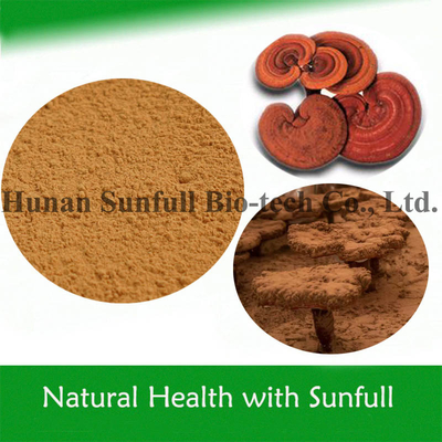Gezondheidsvoedsel van hoge kwaliteit Ganoderma Lucidum Extract Reishi poeder