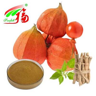 Withania Somnifera Zuid-Afrika Withanoliden 5% Ashwagandha Wortelextract Voedsel Gezondheidszorg Producten