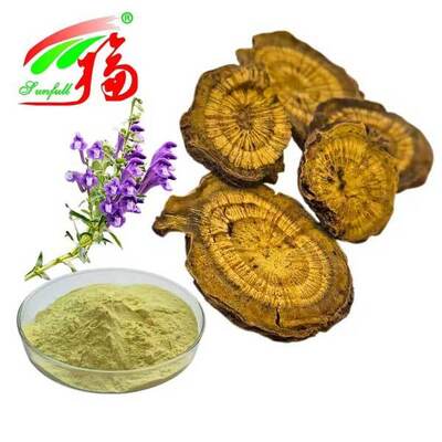 Gezondheidszorg Ingrediënten 10%~95% Baicalin Baicalein Poeder Scutellaria baicalensis Georgi Extract Radix Scutellariae Extract Baikal Skullcap Extract