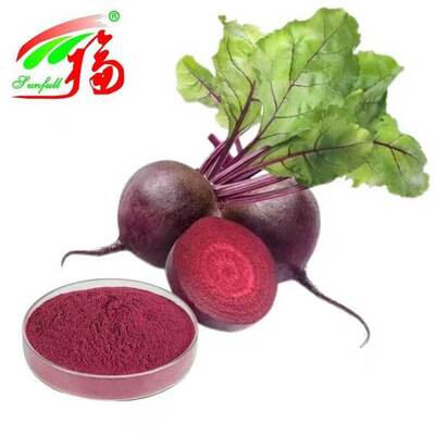 Bietenwortel-extract 1%-25% Betanine Bietenwortel-extract Beta Vulgaris L. Gezondheidsproducten