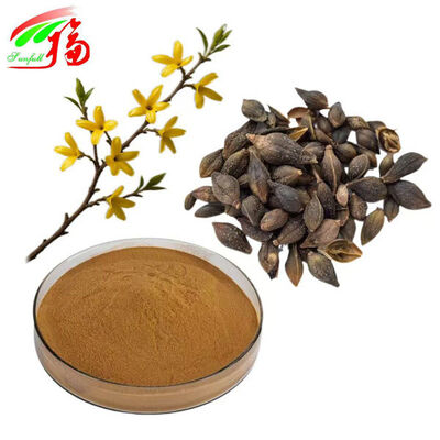 Forsythia-extract poeder Phillyrin Forsythia Suspensa-extract
