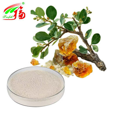 Forsythia-extract poeder Phillyrin Forsythia Suspensa-extract