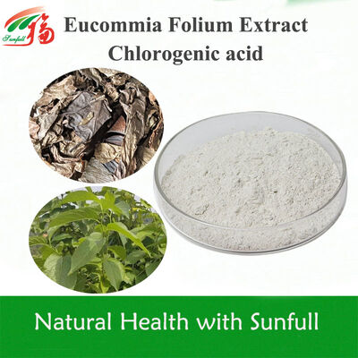 Hoogzuiver Eucommia Ulmoides Bladextract Chlorogeenzuur | 5%-99% Specificaties op Voorraad | Natuurlijke Antioxidant