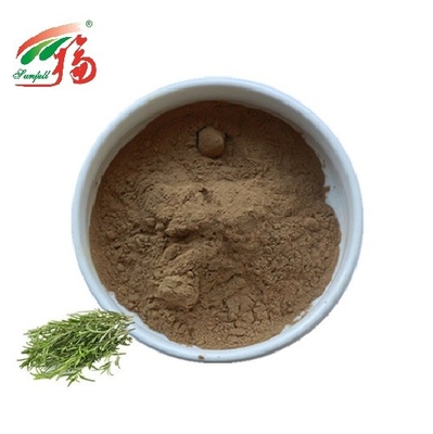 Anti-oxyderende Rosemary Extract Powder Rosmarinic Acid-HPLC voor Additief voor levensmiddelen